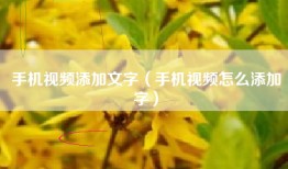 手机视频添加文字（手机视频怎么添加字）