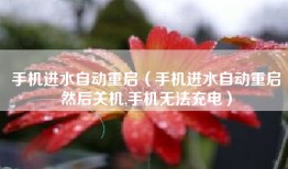 手机进水自动重启（手机进水自动重启然后关机,手机无法充电）