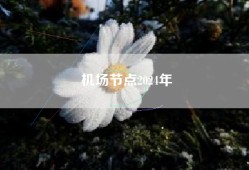 机场节点2024年