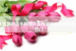 置顶微信小程序页面停留时间统计精选热门