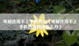 电脑连接不上手机热点（电脑连接不上手机热点网络怎么办）