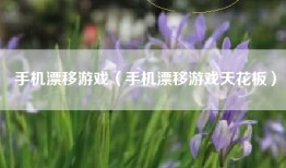 手机漂移游戏（手机漂移游戏天花板）