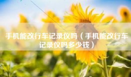 手机能改行车记录仪吗（手机能改行车记录仪吗多少钱）