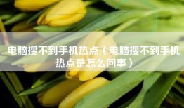 电脑搜不到手机热点（电脑搜不到手机热点是怎么回事）