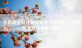 手机快充好还是慢充好手机快充「手机快充好还是慢充好」