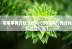 荣耀手机有红外线吗（荣耀手机有没有红外线功能）