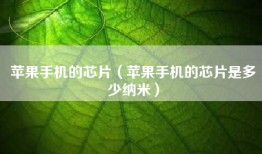 苹果手机的芯片（苹果手机的芯片是多少纳米）