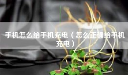 手机怎么给手机充电（怎么正确给手机充电）