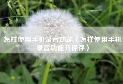 怎样使用手机录音功能（怎样使用手机录音功能并保存）