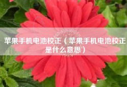 苹果手机电池校正（苹果手机电池校正是什么意思）