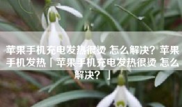 苹果手机充电发热很烫 怎么解决？苹果手机发热「苹果手机充电发热很烫 怎么解决？」