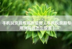 手机玩页游专用浏览器（手机玩页游专用浏览器怎么设置）