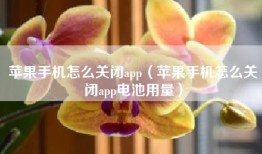 苹果手机怎么关闭app（苹果手机怎么关闭app电池用量）