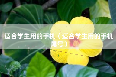 适合学生用的手机（适合学生用的手机尾号）