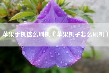 苹果手机这么刷机（苹果机子怎么刷机）