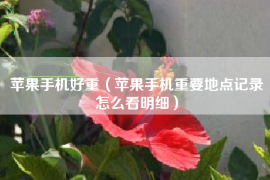 苹果手机好重（苹果手机重要地点记录怎么看明细）