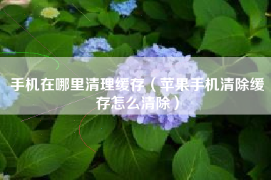 手机在哪里清理缓存（苹果手机清除缓存怎么清除）