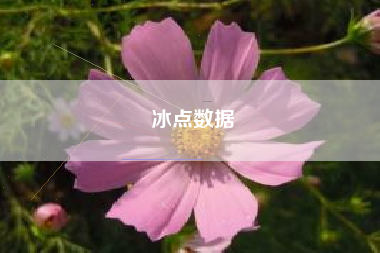 冰点数据